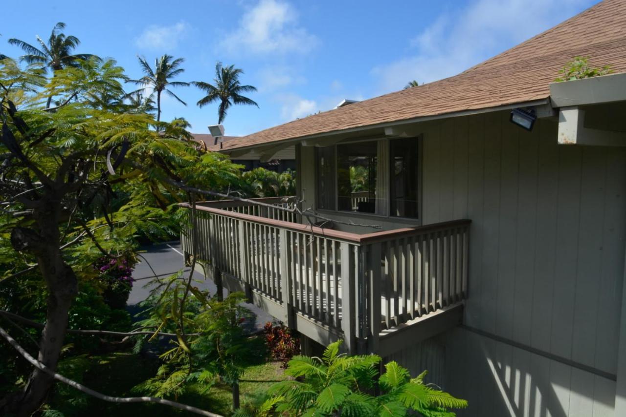 Appartement Bay Surf 233 *