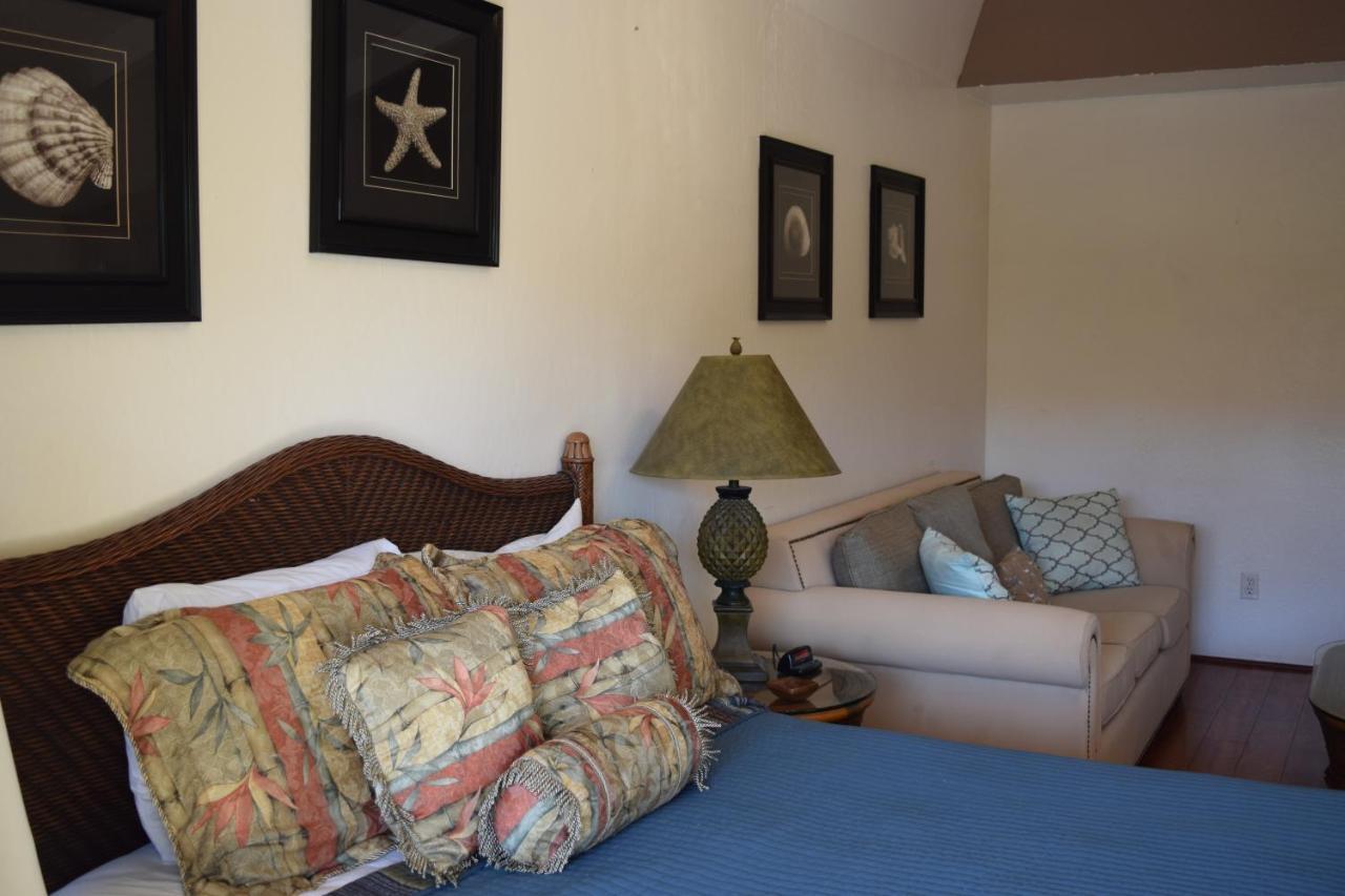 Bay Surf 233 Appartement *